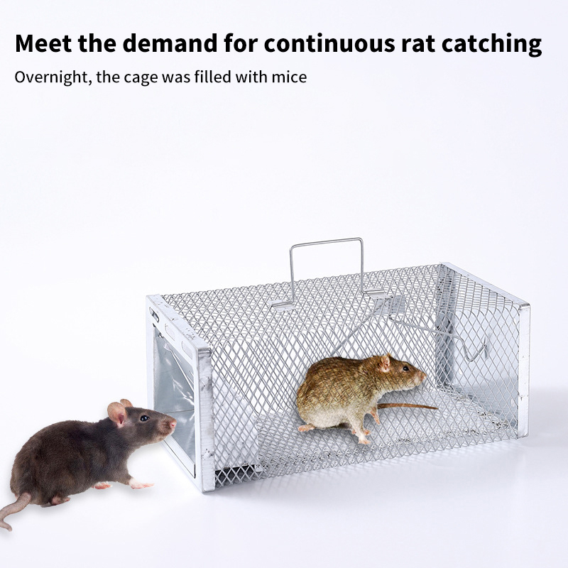 New Multi-Catch Rodent Mouse T - Board Game Quacks ulasan dan harga